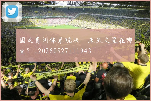 国足青训体系现状：未来之星在哪里？_20260527111943